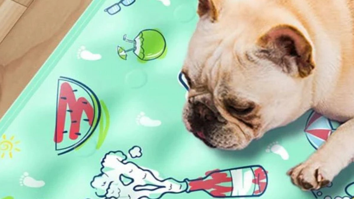 dog cooling mats how do they work