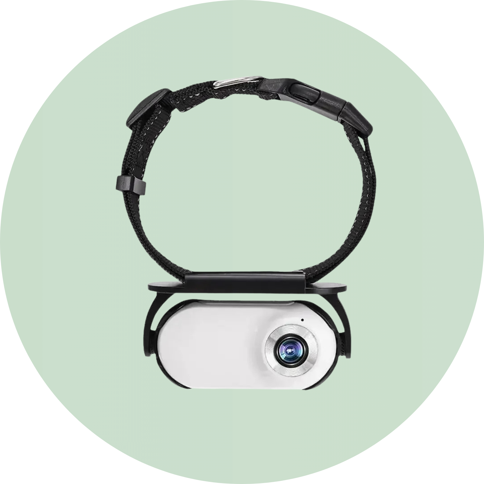 Gadgets - Duke & Scoop