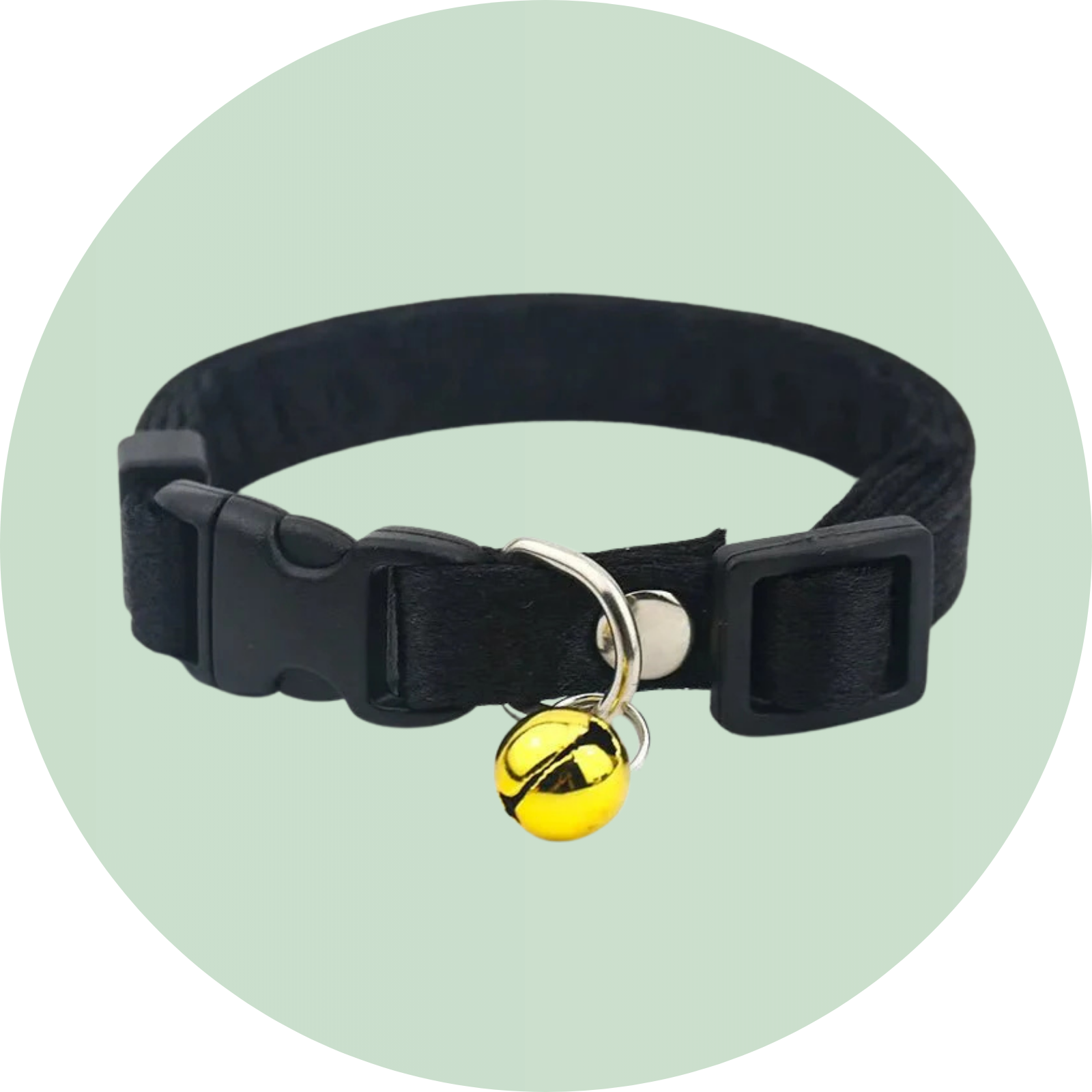 cat collar and leash set