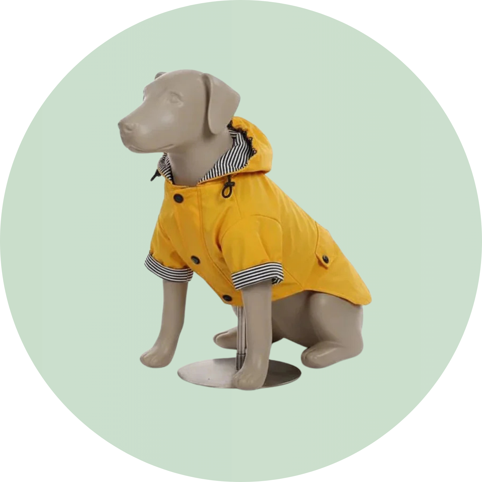 Kleding & accessoires - Duke & Scoop