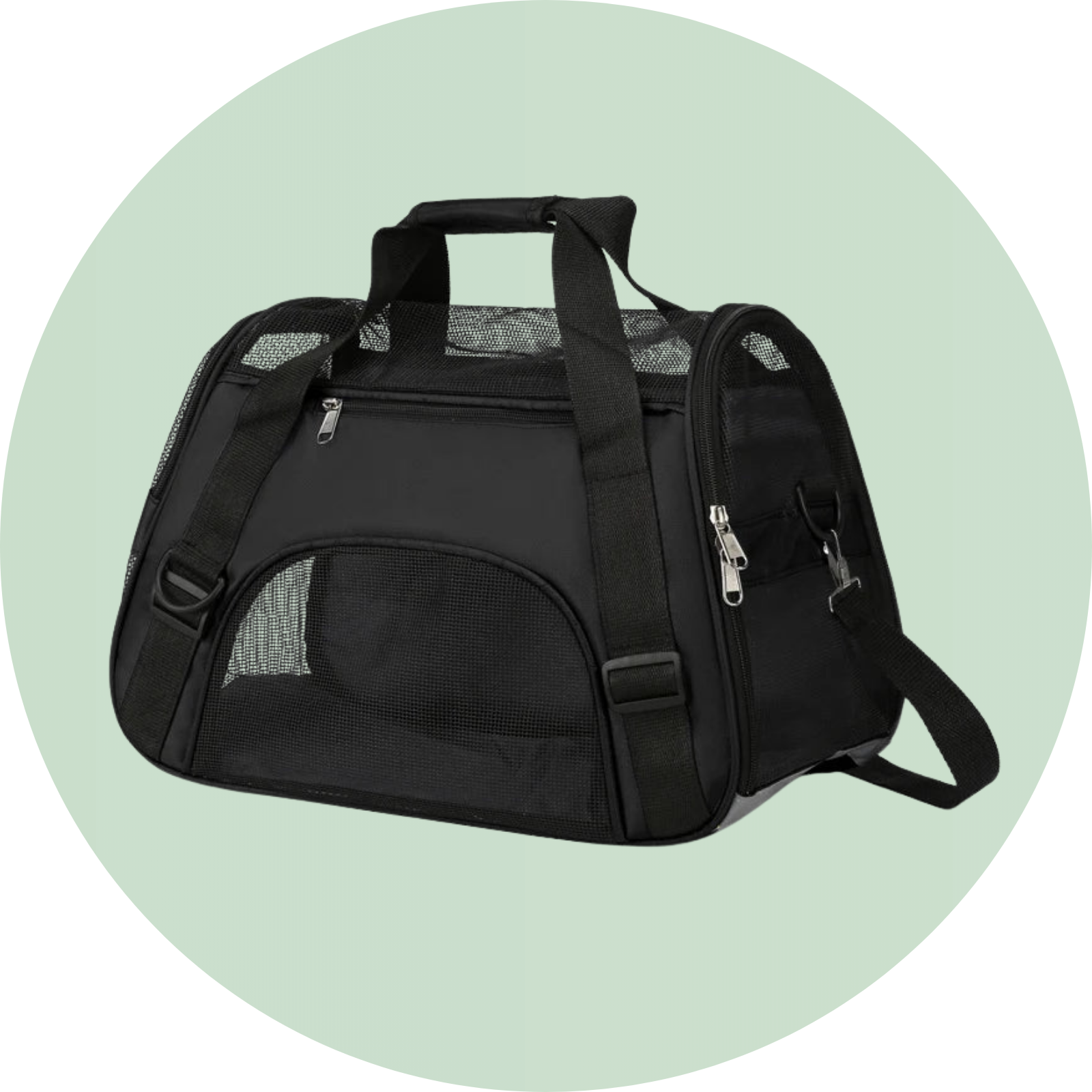 Onderweg - Duke & Scoop