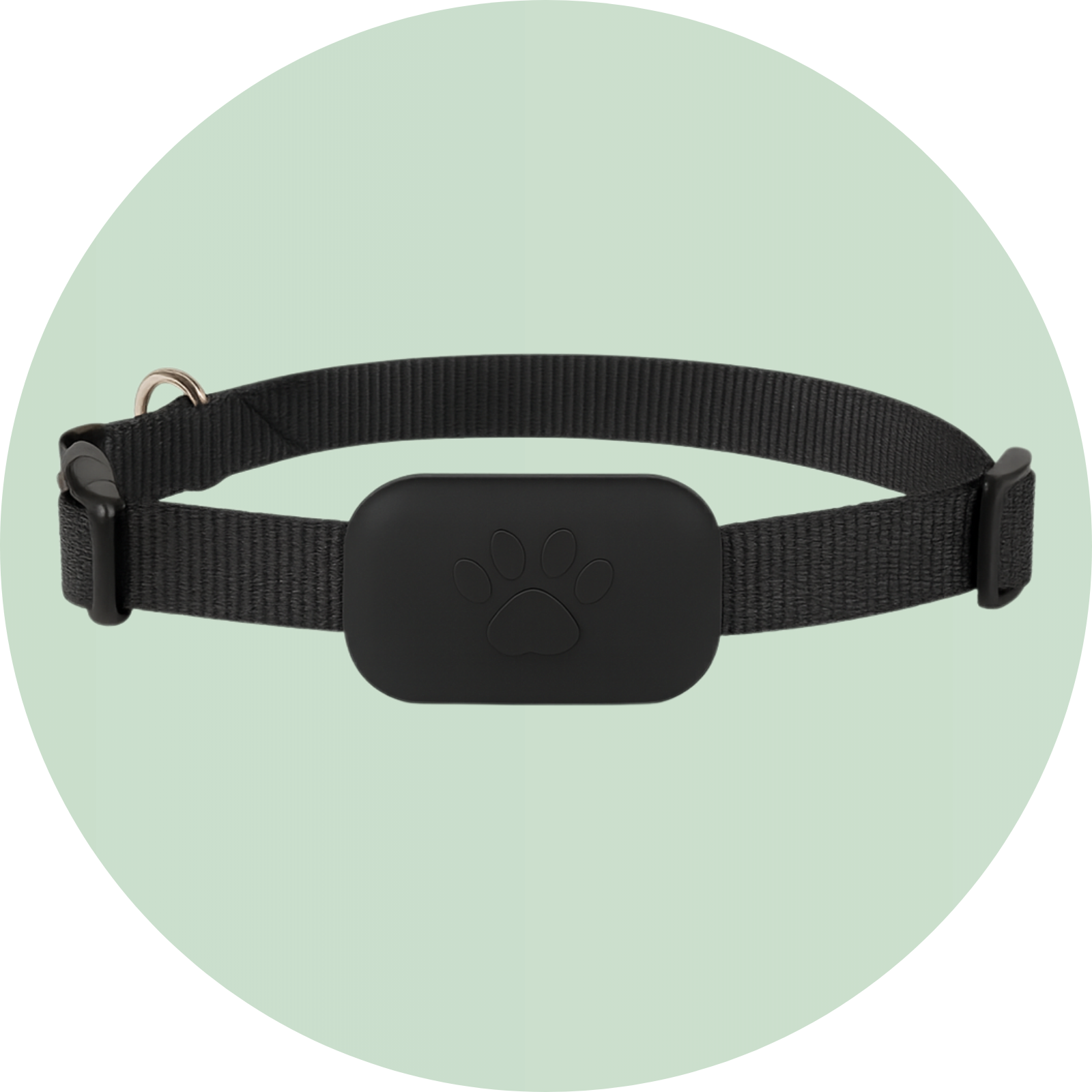 Trackers - Duke & Scoop