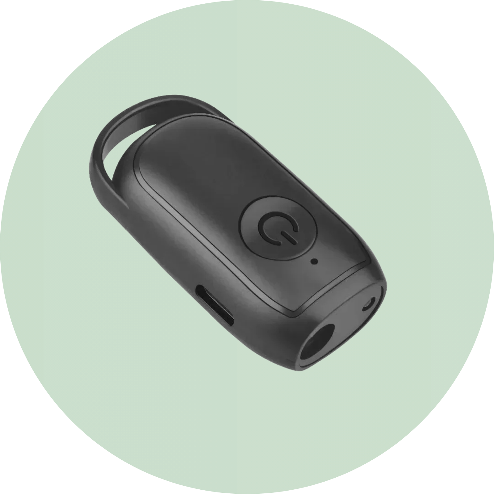 Training & gedrag - Duke & Scoop