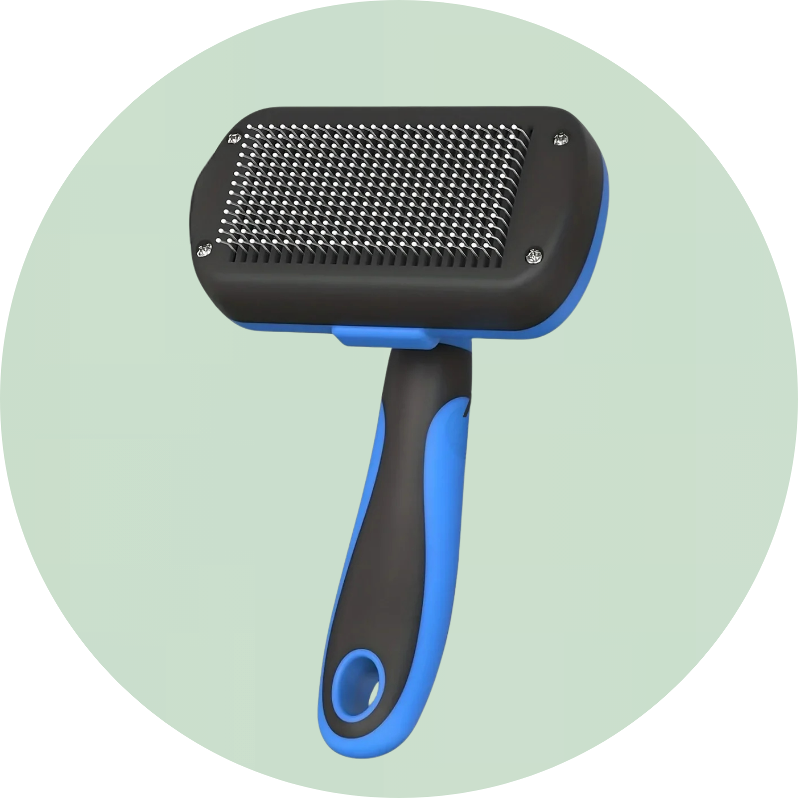 Verzorging - Duke & Scoop