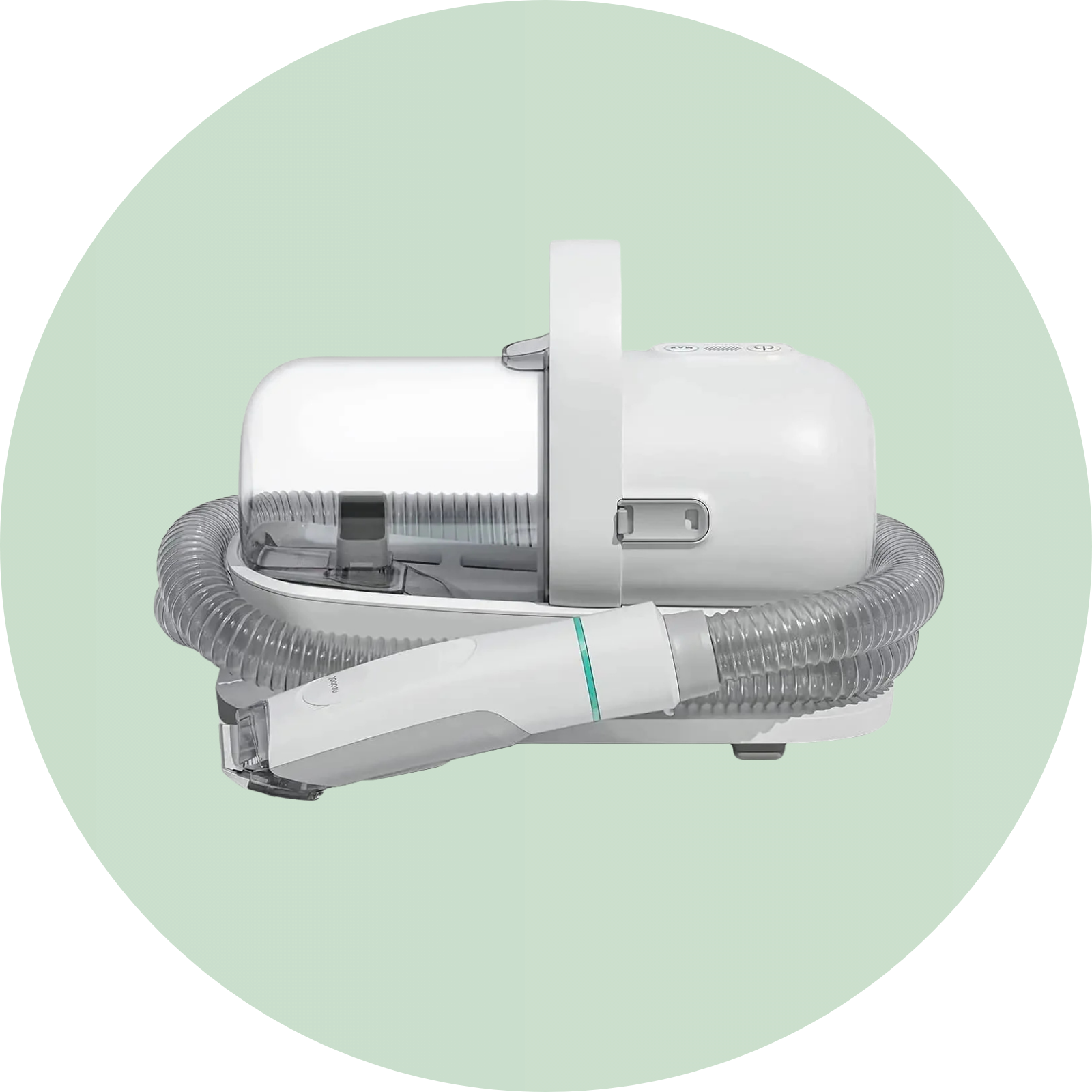 Verzorging - Duke & Scoop