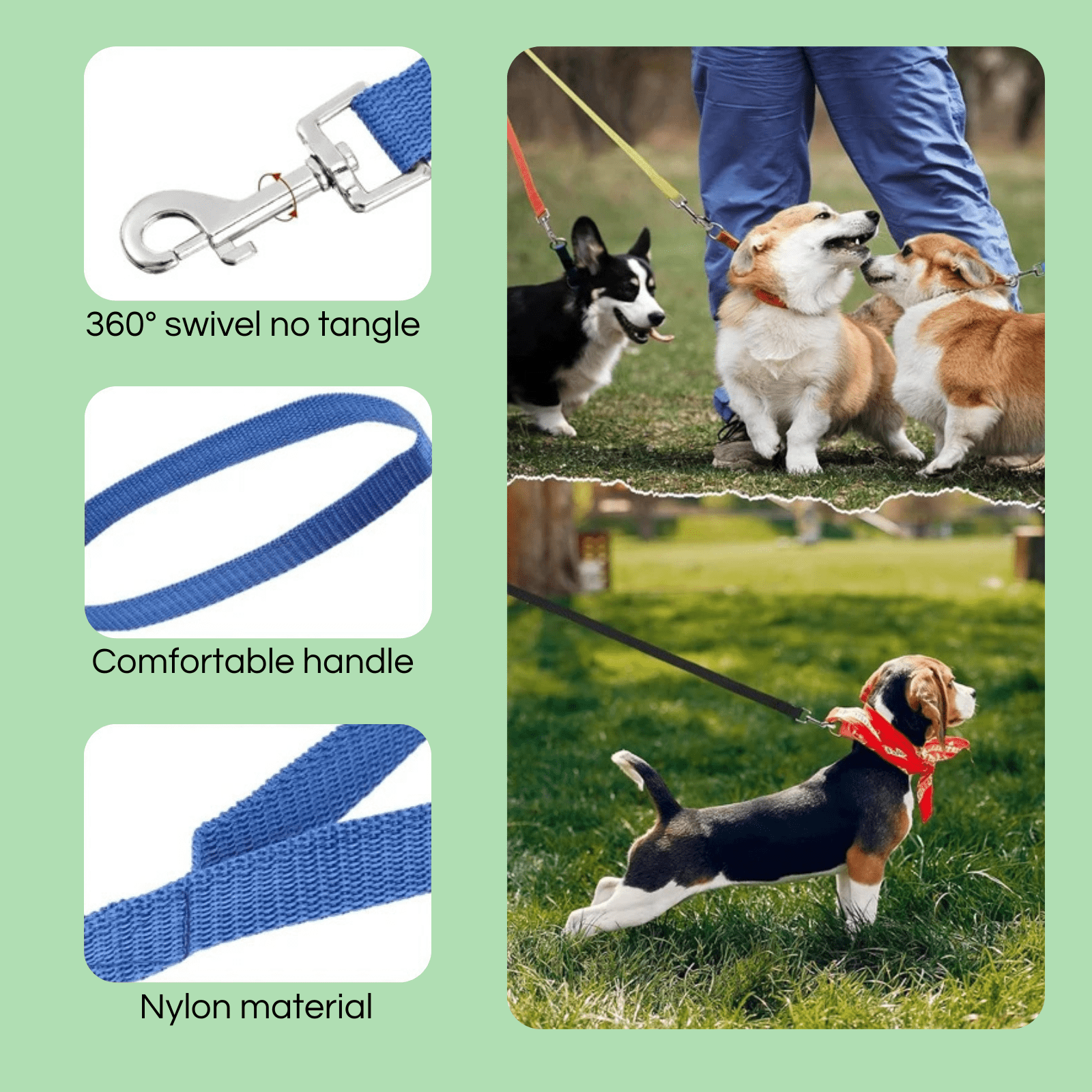 10M Trainingslijn – Extra Lange Hondenriem - Duke & Scoop