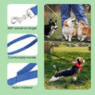 10M Trainingslijn – Extra Lange Hondenriem - Duke & Scoop