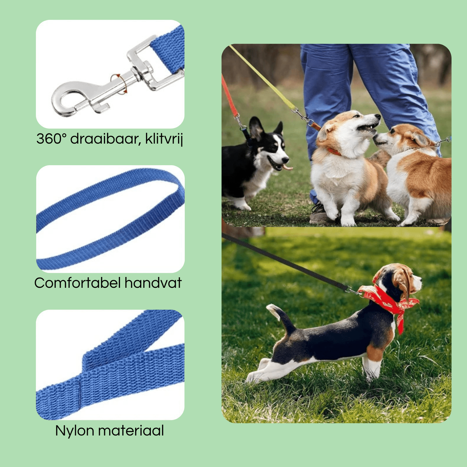 10M Trainingslijn – Extra Lange Hondenriem - Duke & Scoop