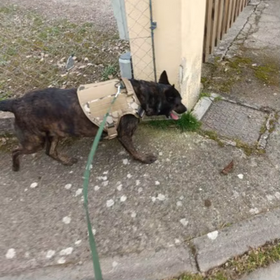 Review foto van Stein K.