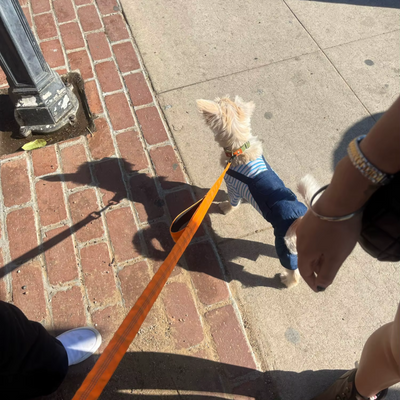 Review foto van Stevie K.