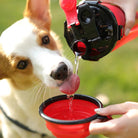 2 - in - 1 Hond Drinkfles en Voerbak – Reisbeker - Duke & Scoop
