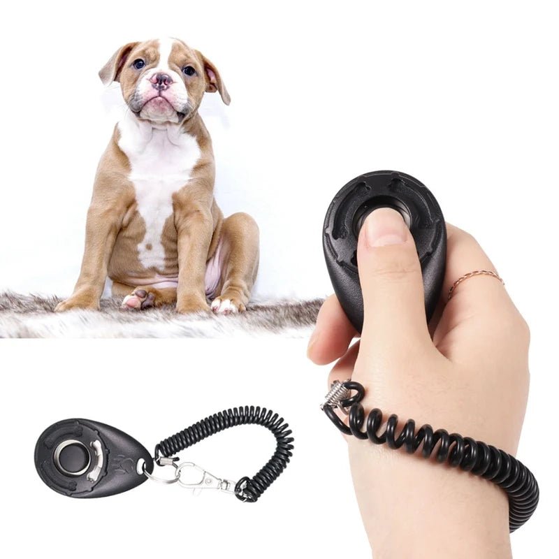 3 - in - 1 Clicker Trainingsset - Duke & Scoop