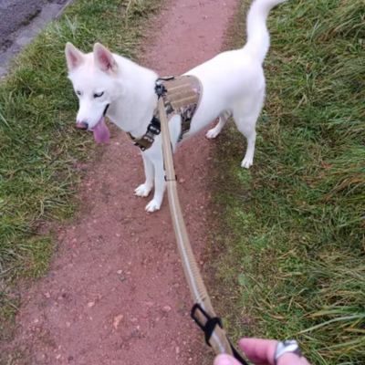 Review foto van Jones R.