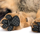 4 - Pack Antislip Pootbeschermers voor Honden - Duke & Scoop