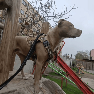 Review foto van Channah J.