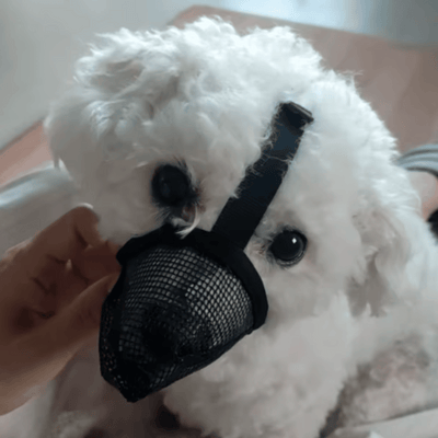 Review foto van Hans L.