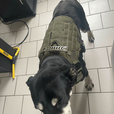 Review foto van Julia K.