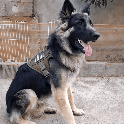 Review foto van Sophie Jansen