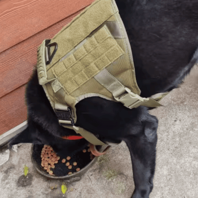 Review foto van Huub J.