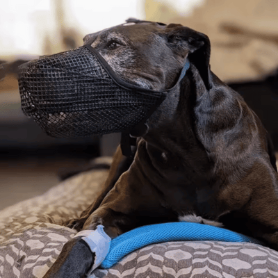 Review foto van Miriam V.