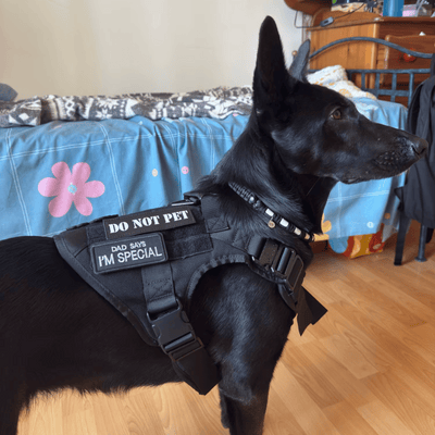 Review foto van Christina D.