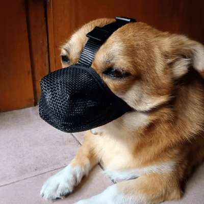 Review foto van Rita H.