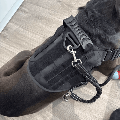 Review foto van Julianne B.