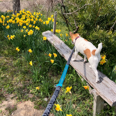 Review foto van Hannah J.