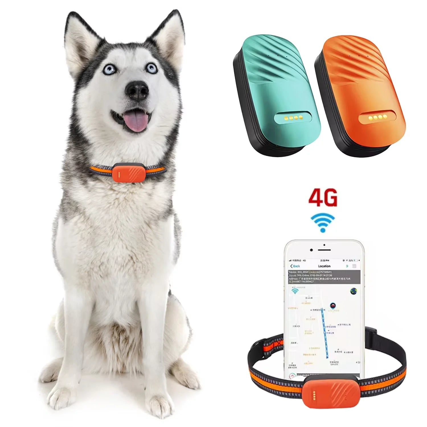4G GPS Tracker voor Honden en Katten - Duke & Scoop