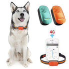 4G GPS Tracker voor Honden en Katten - Duke & Scoop