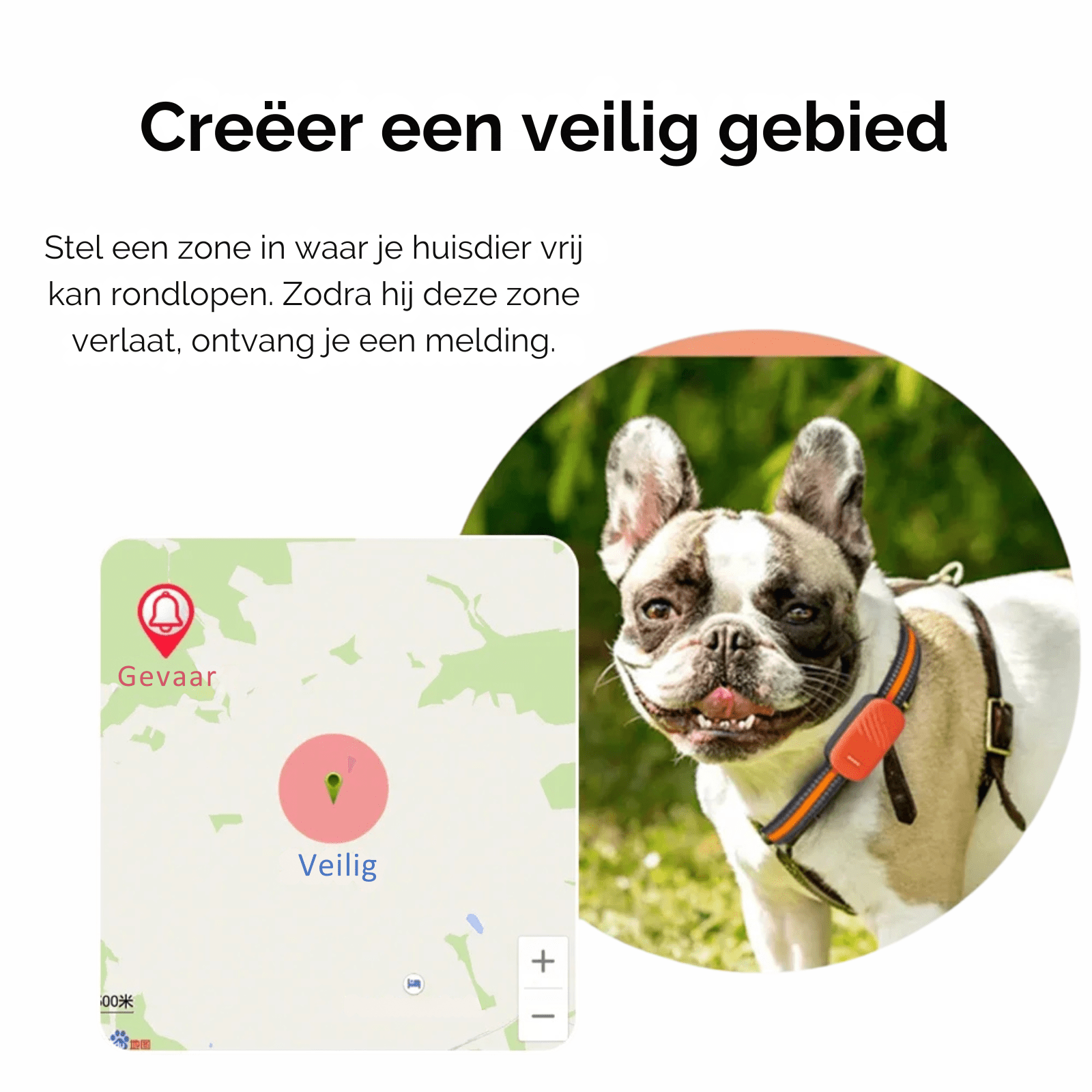 4G GPS Tracker voor Honden en Katten - Duke & Scoop