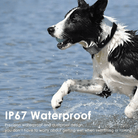 4G GPS Tracker voor Huisdieren – Waterdicht - Duke & Scoop