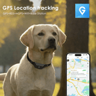 4G GPS Tracker voor Huisdieren – Waterdicht - Duke & Scoop