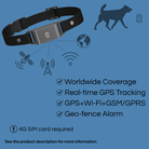 4G GPS Tracker voor Huisdieren – Waterdicht - Duke & Scoop