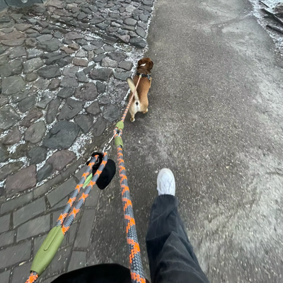 Review foto van Lauren V.