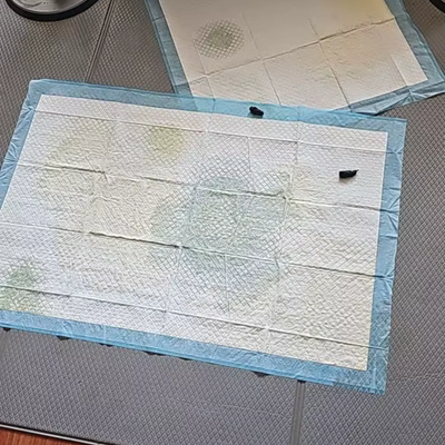 Review foto van Senna L.