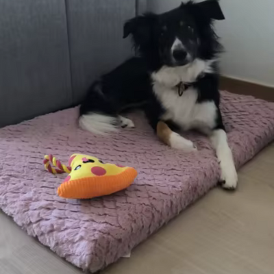 Review foto van Lisa J.