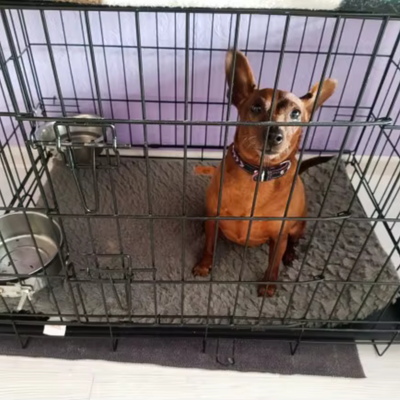 Review foto van Rita G.