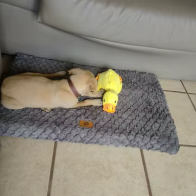 Review foto van Bram K.