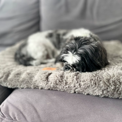 Review foto van Manon P.