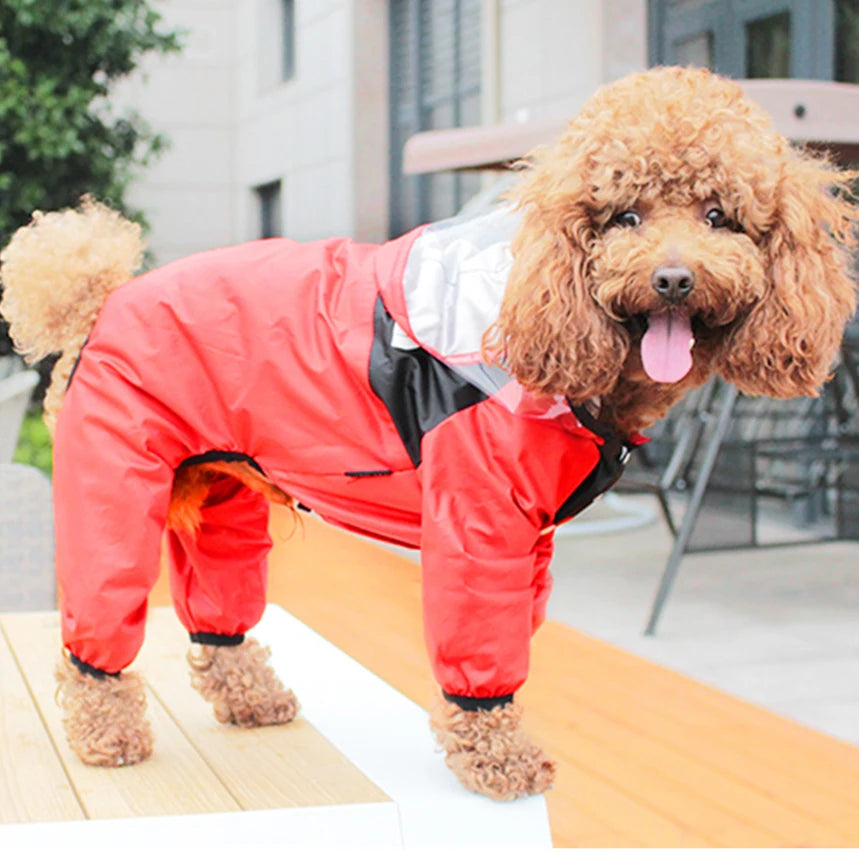 The Dog Face Dog Raincoat - Waterproof