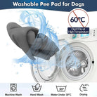 Anti - Plas Hondenmat - Duke & Scoop