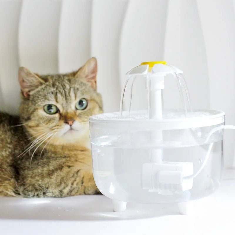 Automatische Huisdier Drinkfontein - Duke & Scoop