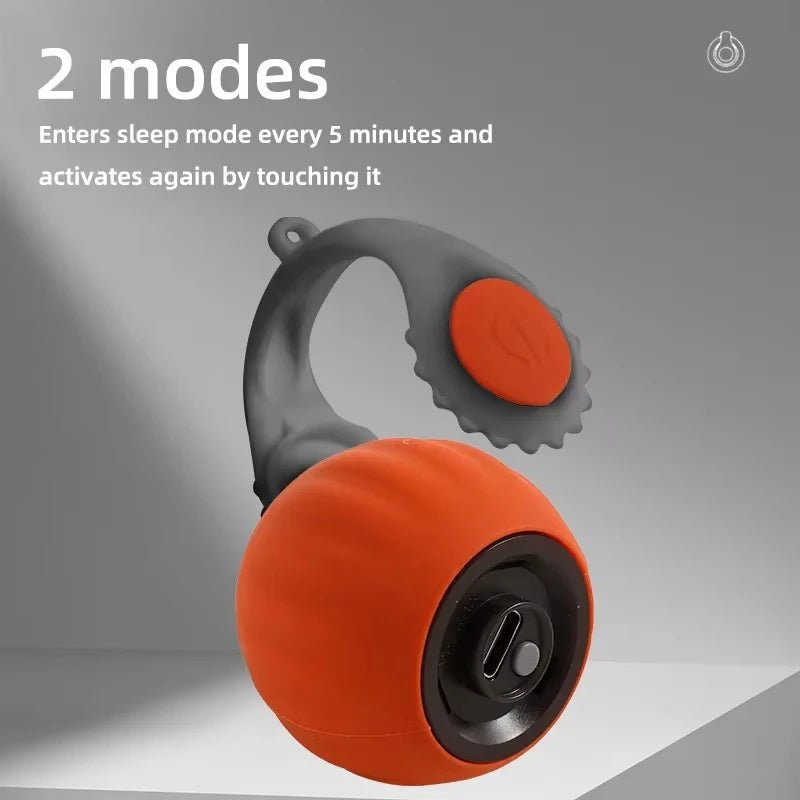 Automatische Rollende Bal - Interactief Balspeelgoed - Duke & Scoop