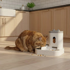 Automatische Water en Voederbak voor Huisdieren - Duke & Scoop