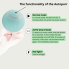 AutoPurr – Slimme Interactieve Kattenbal - Duke & Scoop