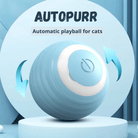 AutoPurr – Slimme Interactieve Kattenbal - Duke & Scoop