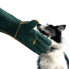 Bijtbestendige Huisdierhandschoenen - Duke & Scoop