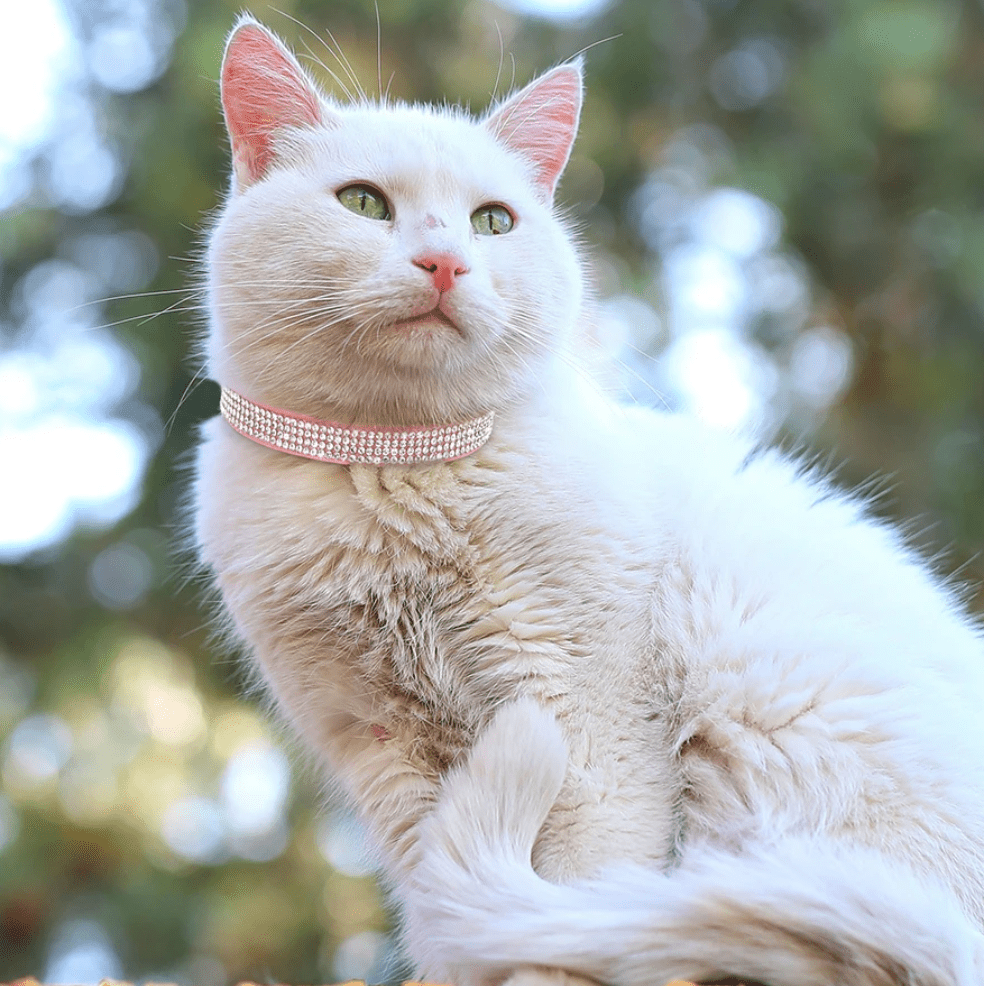 Bling Zachte Leren Halsband - Duke & Scoop