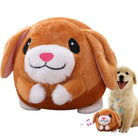 Bouncing Pet – Pluche Interactieve Speelbal voor Honden - Duke & Scoop